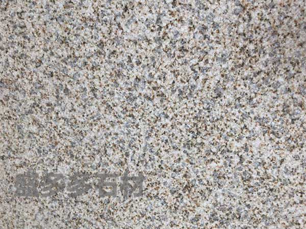 黃金麻荔(lì)枝面